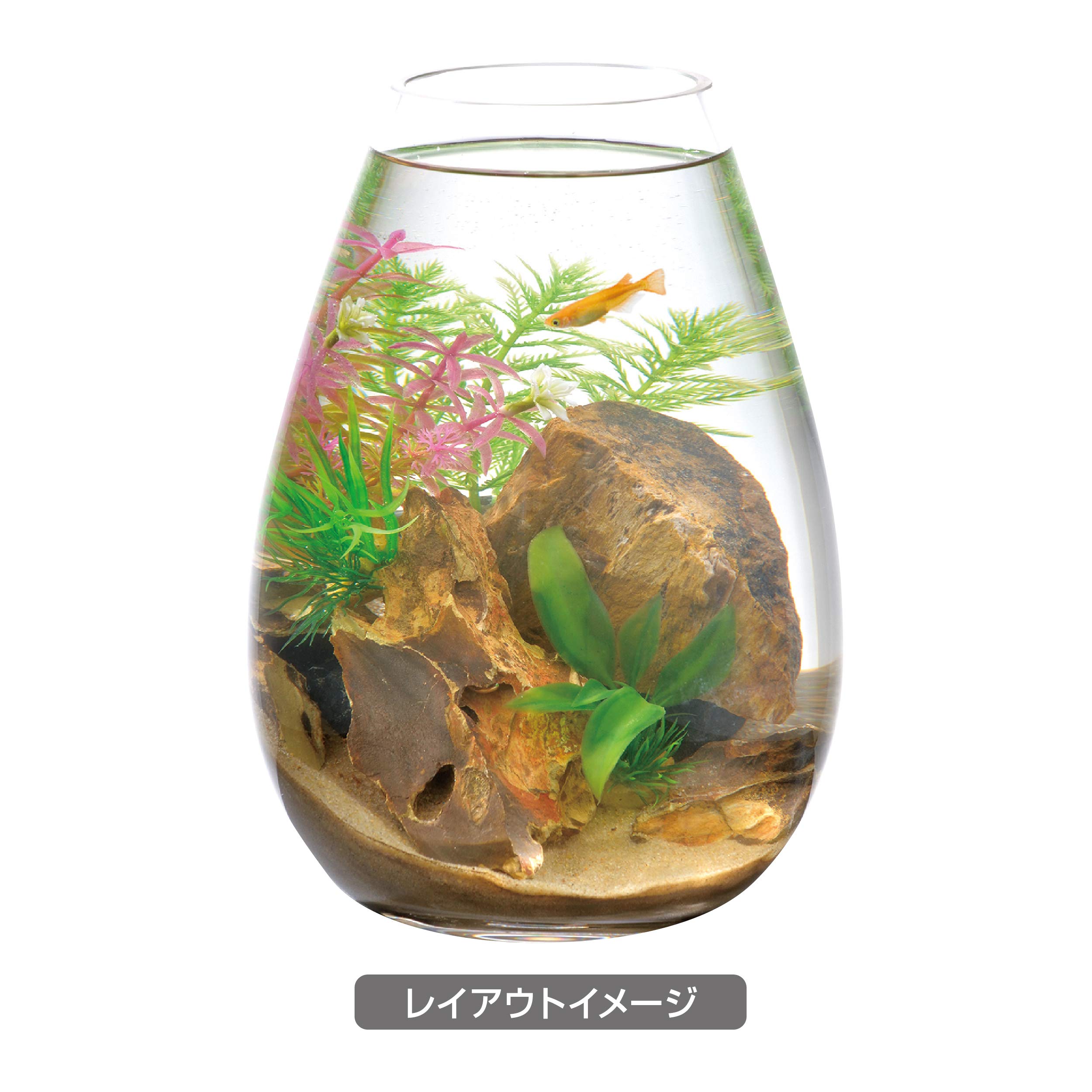 Amazon | ジェックス 癒し水景 ボトルプランツ ミリオフィラム | GEX